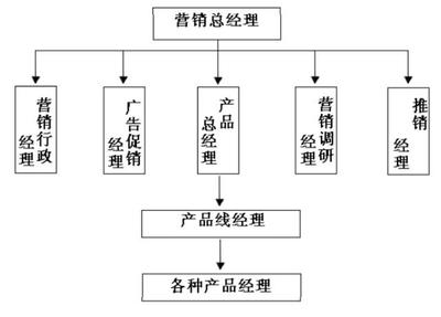 畫出服裝企業(yè)的營(yíng)銷組織結(jié)構(gòu)--產(chǎn)品管理型組織結(jié)構(gòu)的結(jié)構(gòu)表